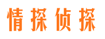 隆子市侦探公司